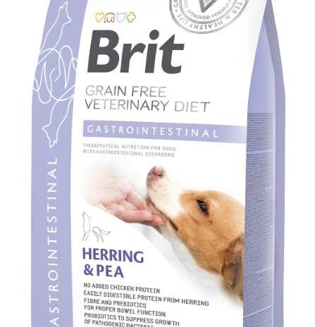 BRIT GF VD Hond Gastrointestinal - 2 kg