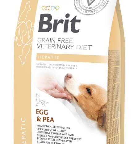 BRIT GF VD Hond Hepatic - 2 kg