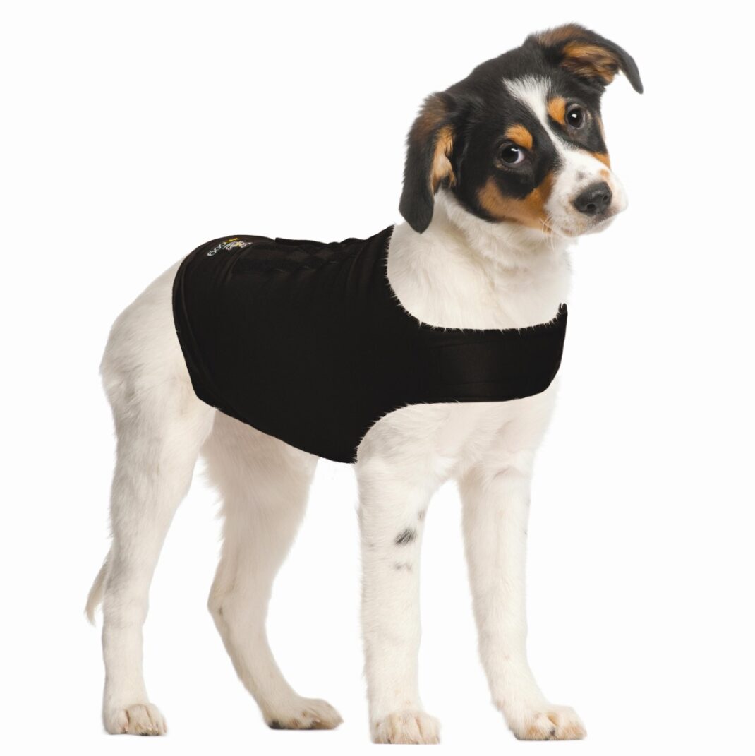 ZenDog Compression Shirt - XS-336915