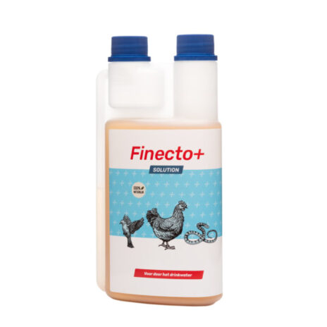 Finecto+ SOLUTION - 500 ml