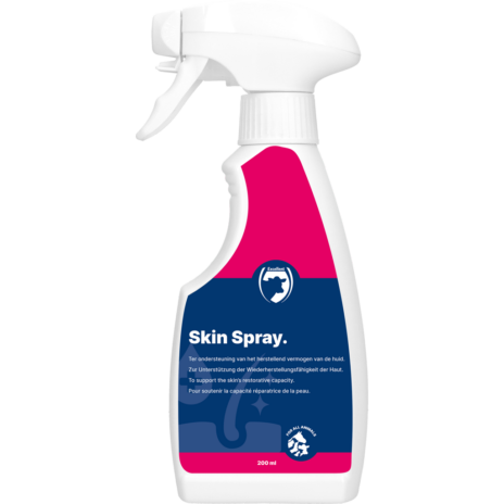 Skin Spray Blank - 200 ml