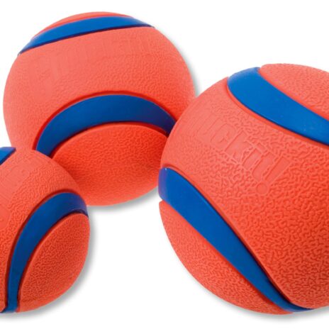 Chuckit Ultra Ball