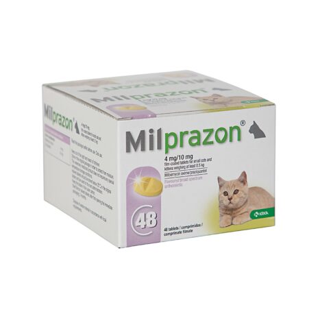 Milprazon Kleine Kat / Kitten - 4 mg / 10 mg (48 tabletten)