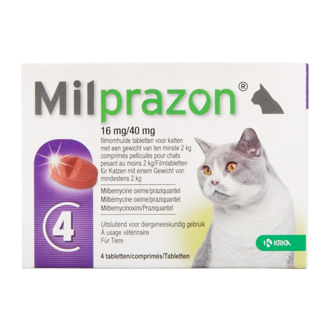 Milprazon Grote Kat -16 mg / 40 mg (4 tabletten)-0