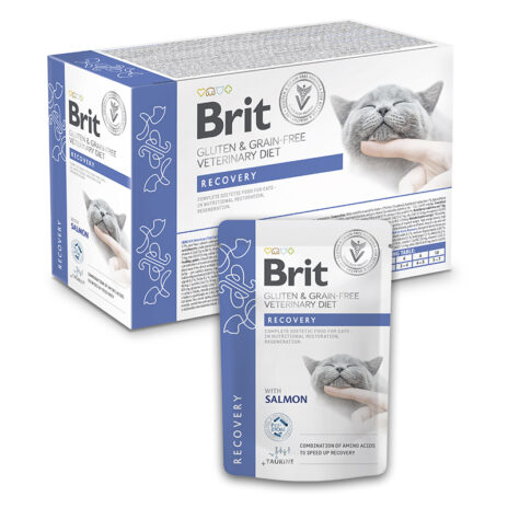 Brit VD Cat Pouch – Recovery (Box 12 x 85g)