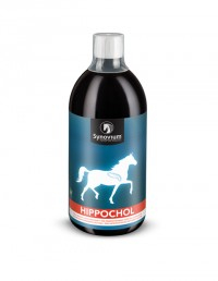 Synovium Hippochol - 1000 ml