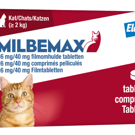 Milbemax Kat