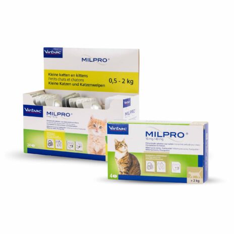 Milpro Kat
