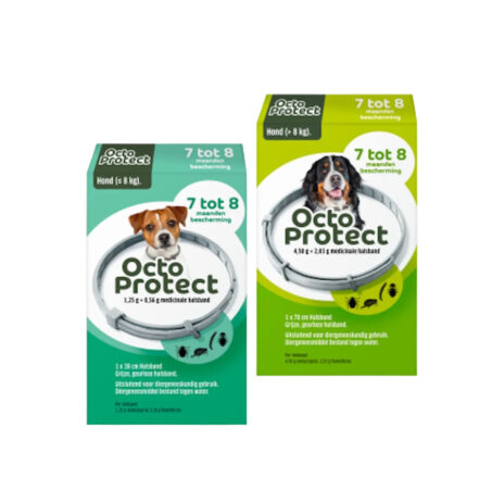 OctoProtect Hond